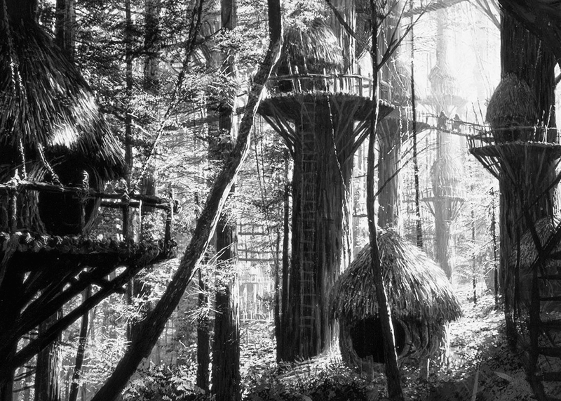 Ewok Treehouses